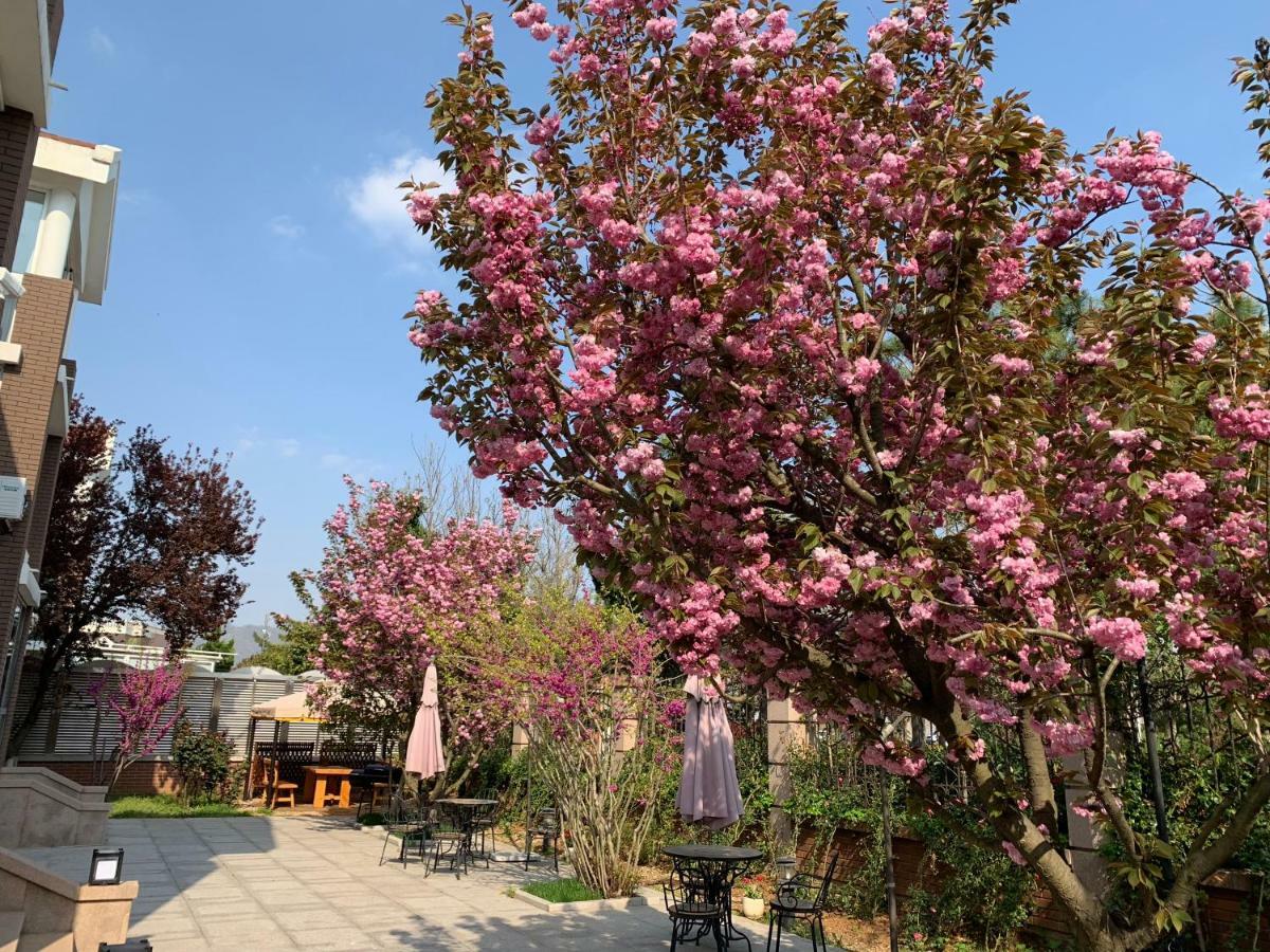 Floral Hotel - Begonia Villa 칭다오 외부 사진