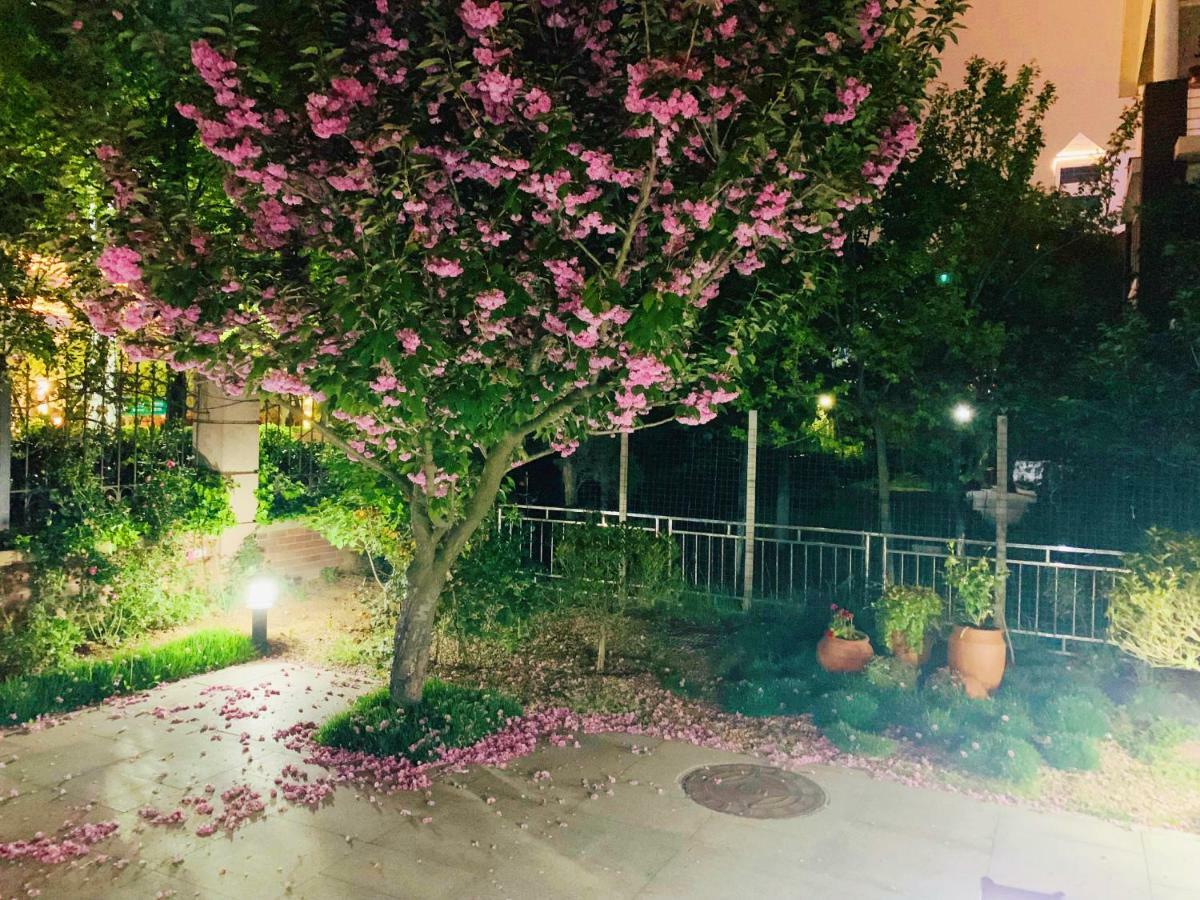 Floral Hotel - Begonia Villa 칭다오 외부 사진