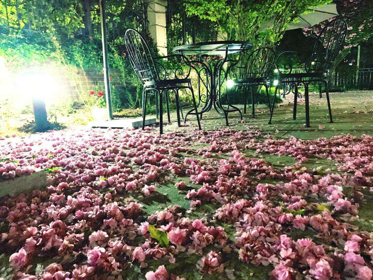 Floral Hotel - Begonia Villa 칭다오 외부 사진